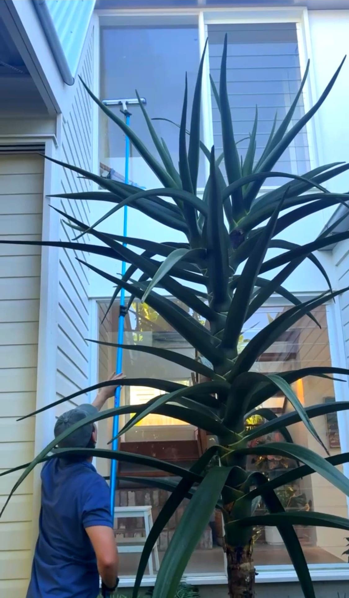 Two-storey reach & wash