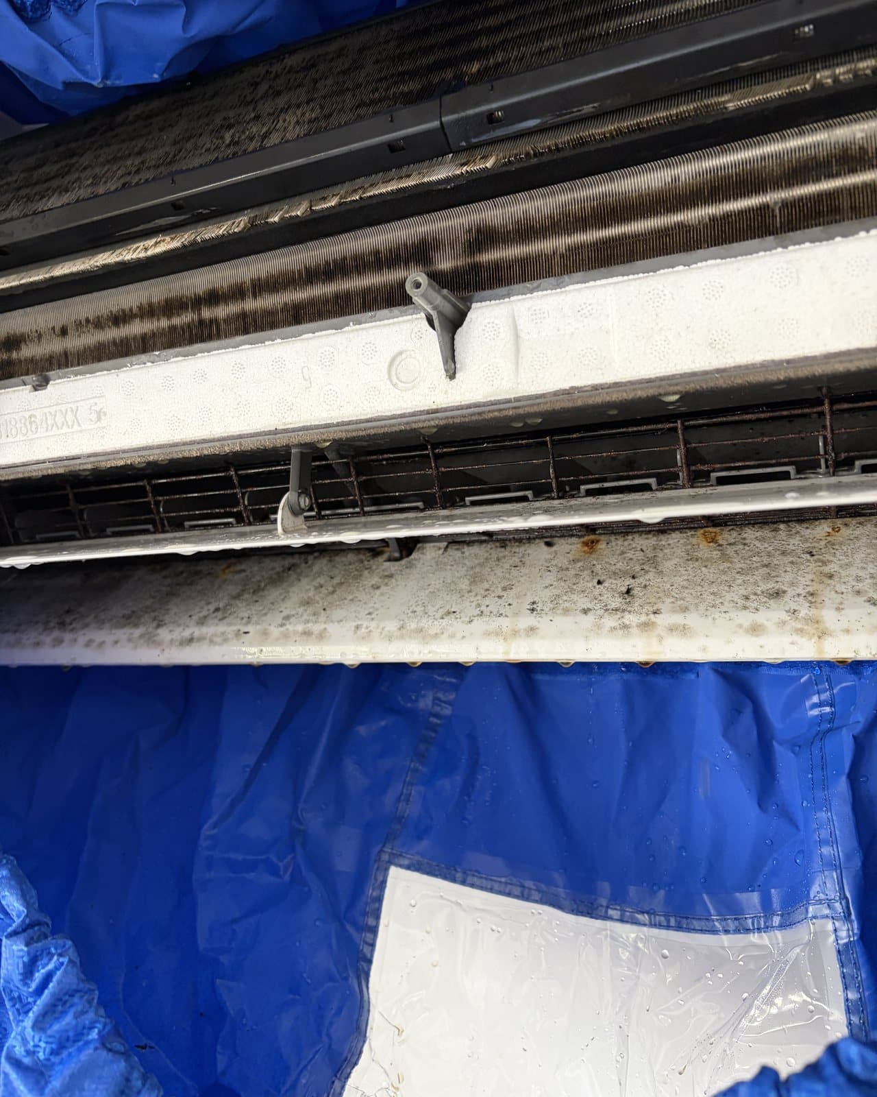 Behind the cover of a Brisbane split system before cleaning: a dirty coil and a mouldy tray